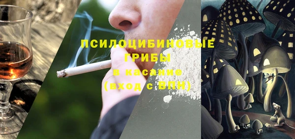 крисы Алзамай