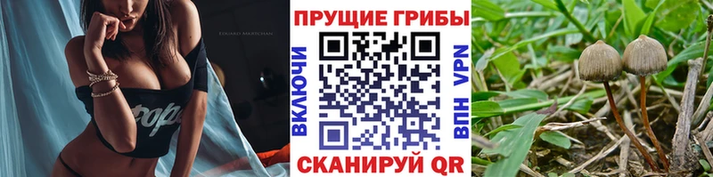 Псилоцибиновые грибы ЛСД как найти закладки Артём